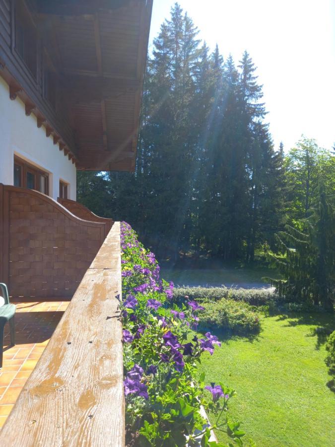 Landhaus Wieser Ramsau am Dachstein Exteriér fotografie