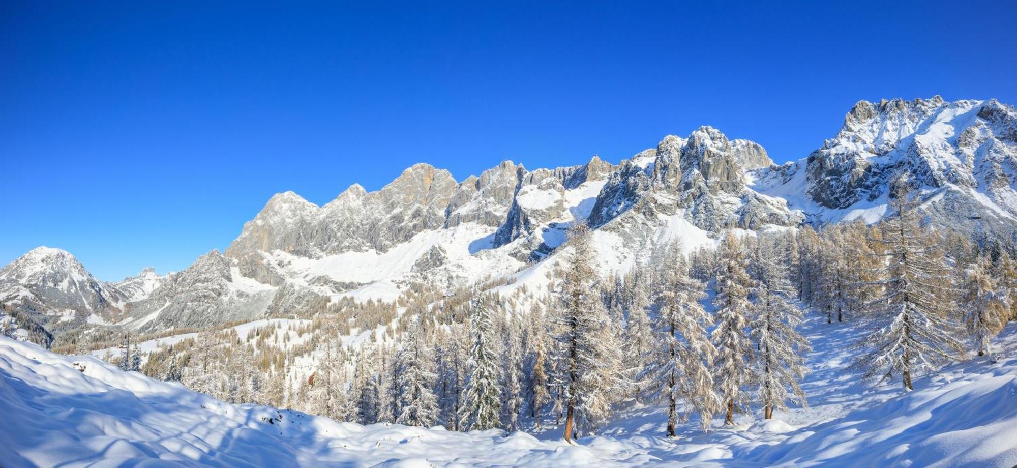Landhaus Wieser Ramsau am Dachstein Exteriér fotografie